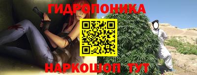 скорость Гатчина