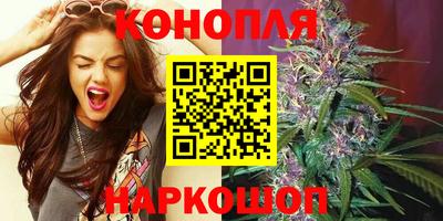 скорость Гатчина