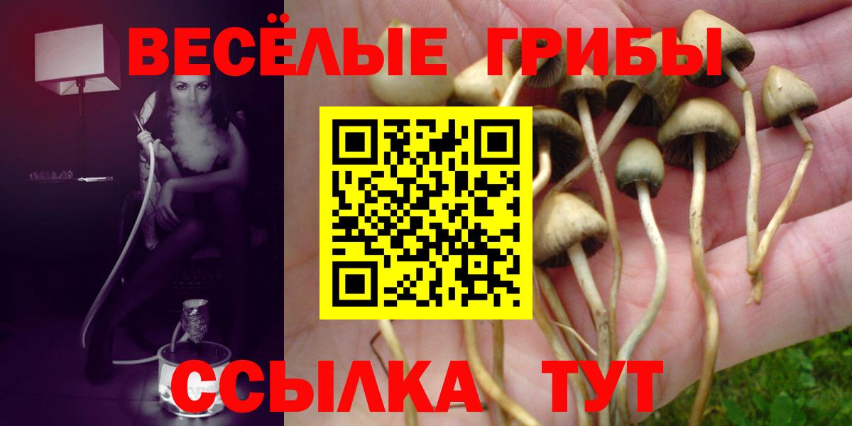 Псилоцибиновые грибы ЛСД Гулькевичи